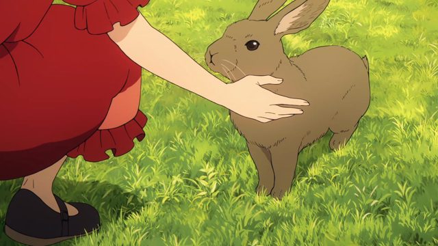 苍白骑士