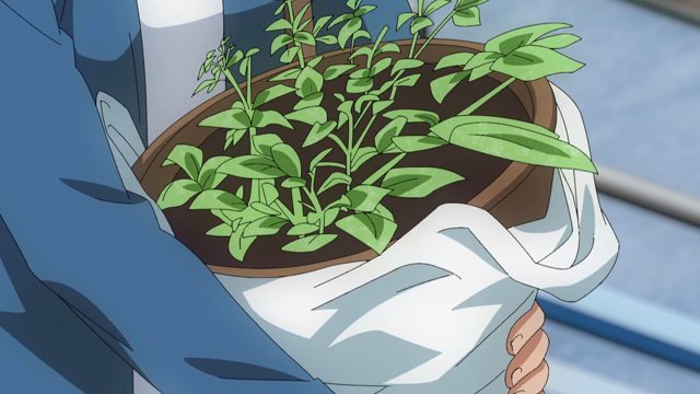 情愛の犬と深煎りの草