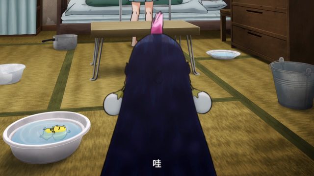 兽聚鸟散