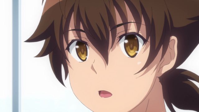 赤龙帝 对 狮子王