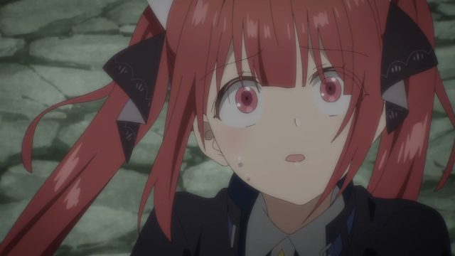 泛而不精保护伙伴