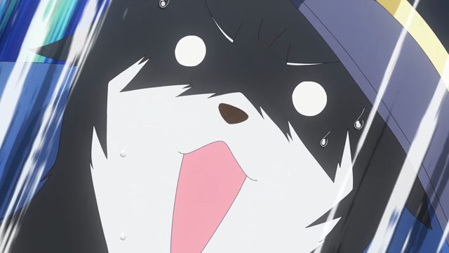 小心不会背叛？