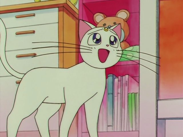 阿尔特米斯变心了？神秘小猫登场