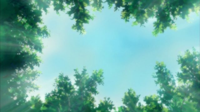 成功与失去