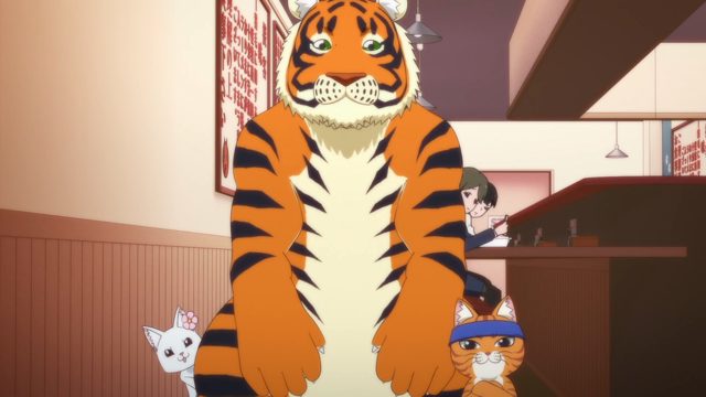 「非公开招募」「黑猫攀爬游乐场」