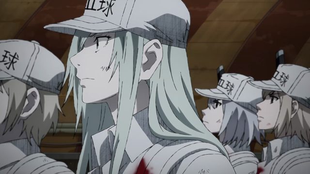 最前线、淋球菌、纠葛。