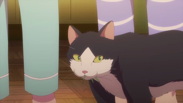 男女11人共同生活