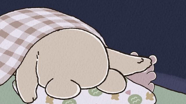 深夜的SNS与无法入眠的无尾熊