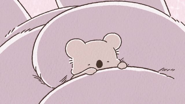 梦中的无尾熊