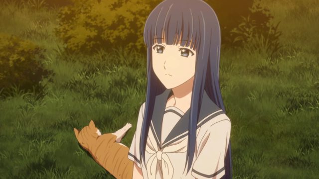 掌中伊甸 3/4