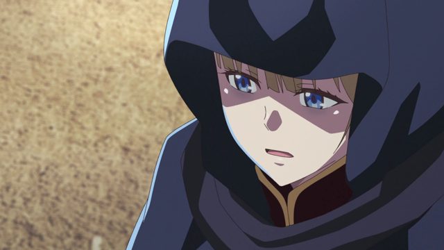 人称公主骑士的女子