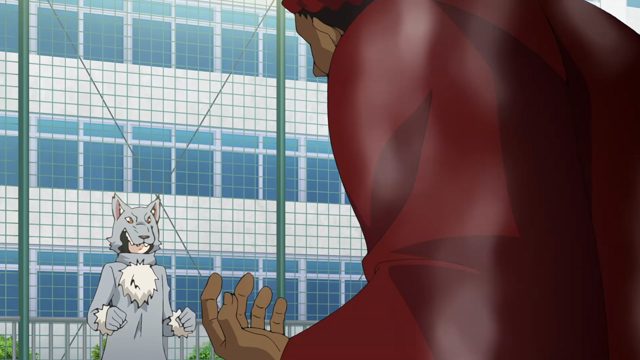 你与文化之章。