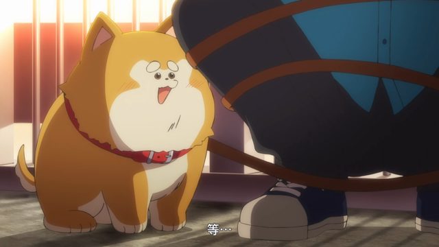 我想了解你。