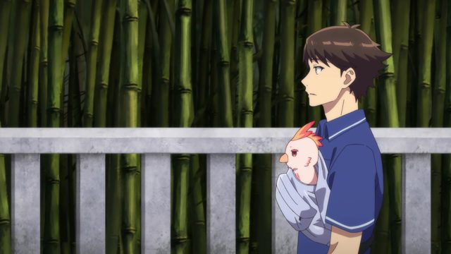 女神的神域与封印之力