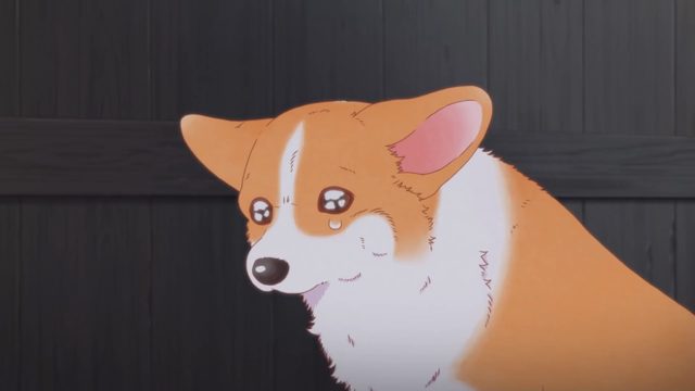 第17集