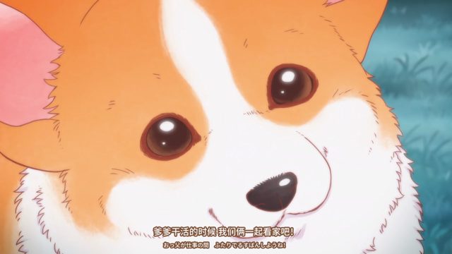 第5集