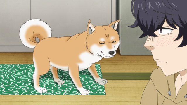 漫画家和柴犬