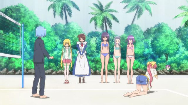 桂ヒナギク