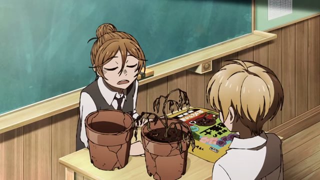 双面食肉植物