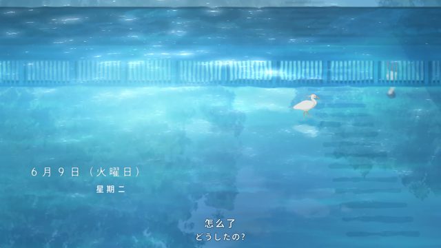 交易与煎鸡蛋