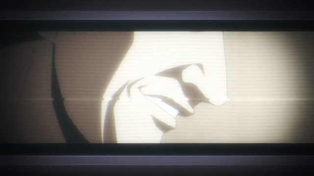 猫咪崛起