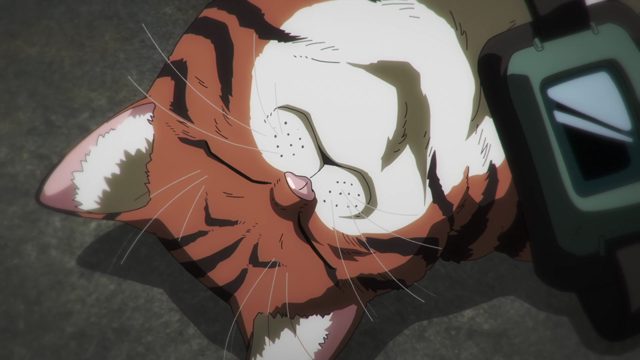 全部变成猫