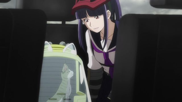 世界喵日