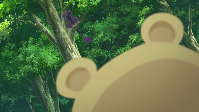 原本以为是壶结果是乌龟
