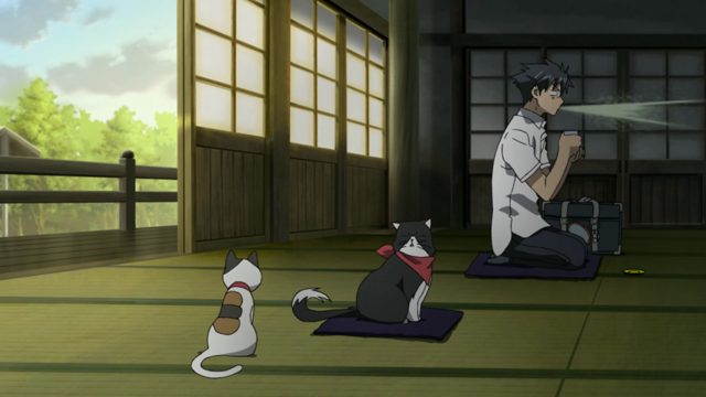 丑猫和被诅咒的高中生 [AI翻译]