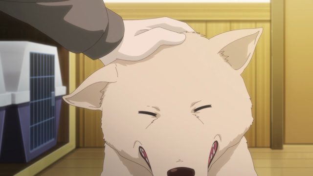 想守护的东西