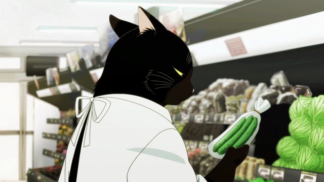 能干猫长大了