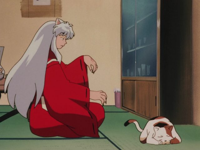 豹猫四天王的阴谋