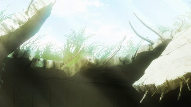 Drifters' pride