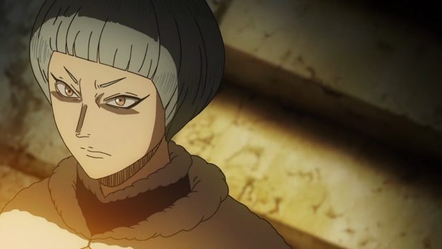 魔法骑士团团长会议