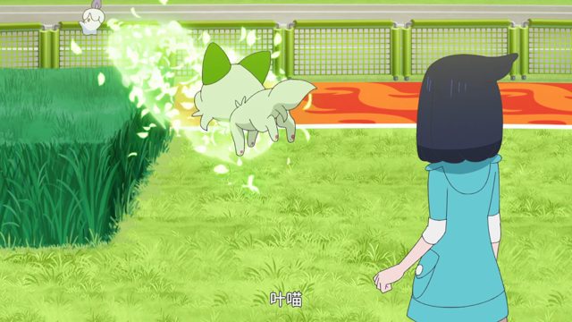 卡芜先生的对战修行