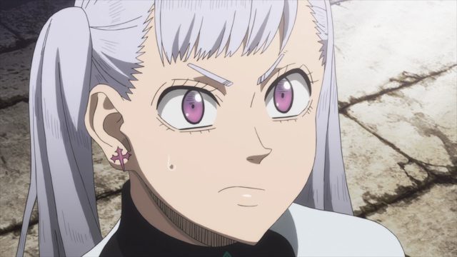 王选骑士团成立