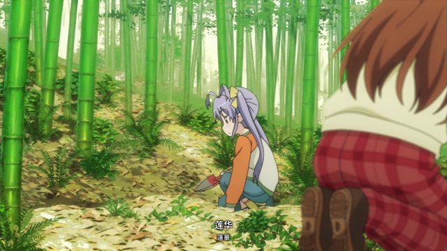 一年过去了
