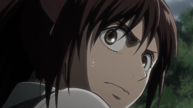 我回来了