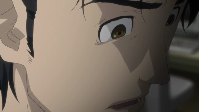 幻相的恒定状态-Chaos Theory Homeostasis-